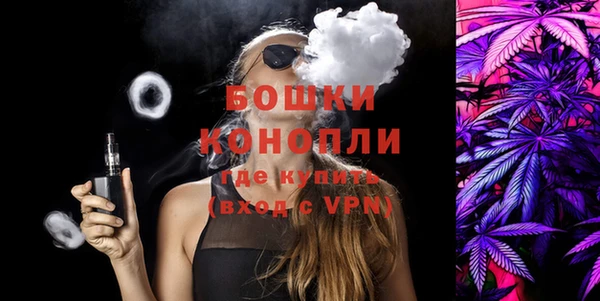 шишки Козельск