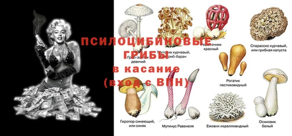 бошки Кодинск
