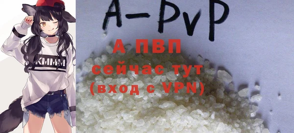 МДПВ Козловка